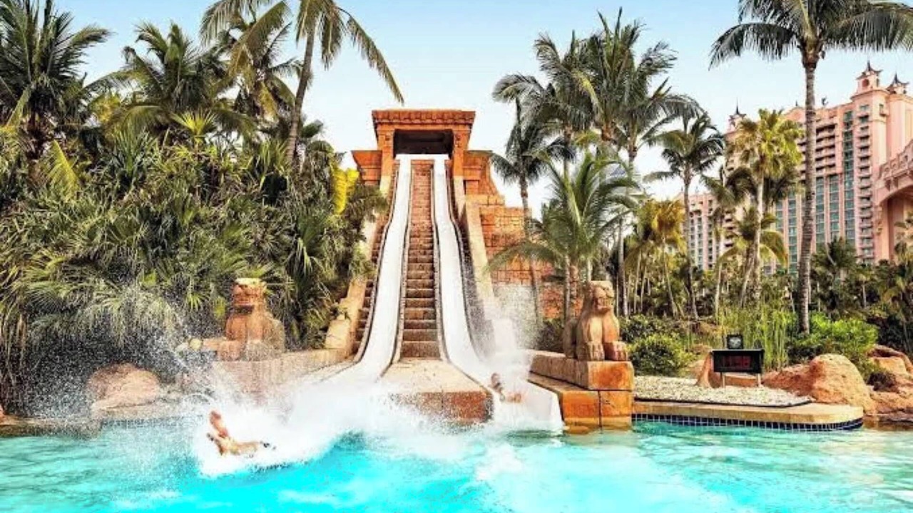 Photo of Others in Paradise Island