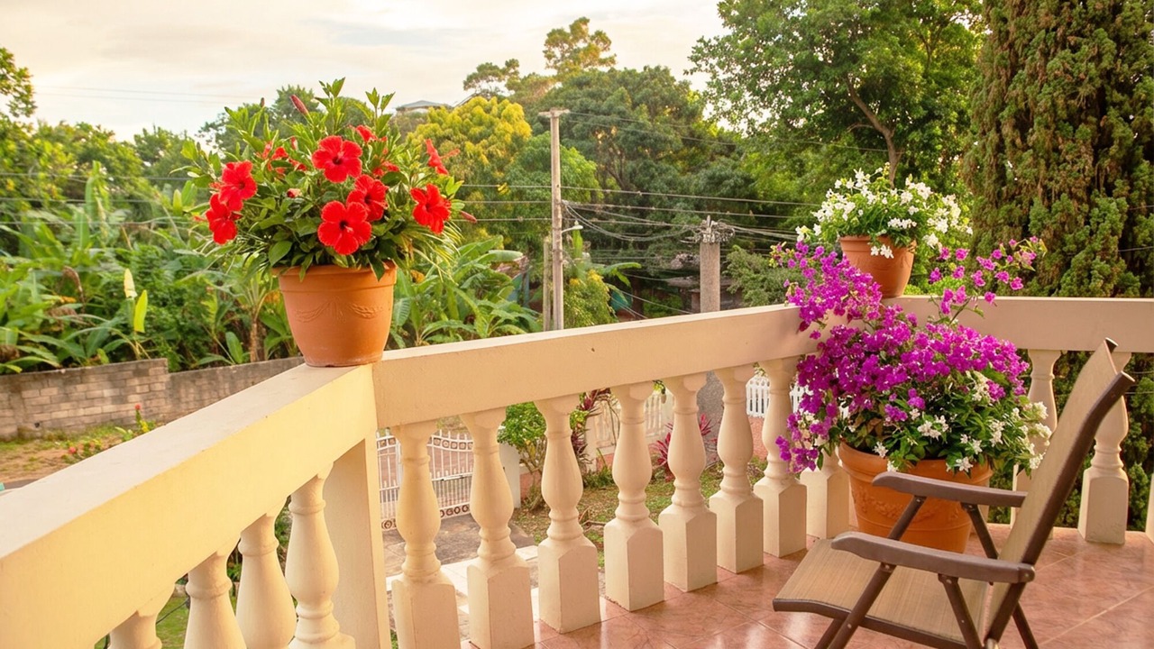Photo of Patio Balcony in Saint Andrew