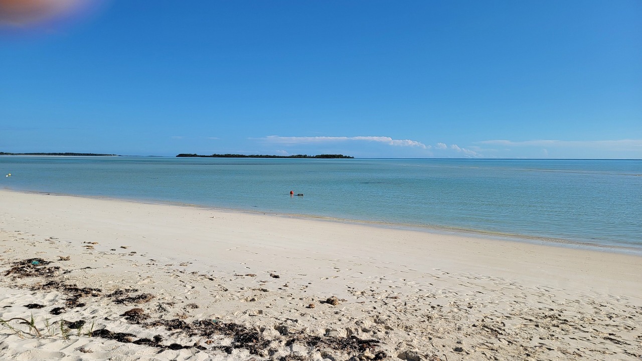 Photo of Others in Bahama Palm Shores
