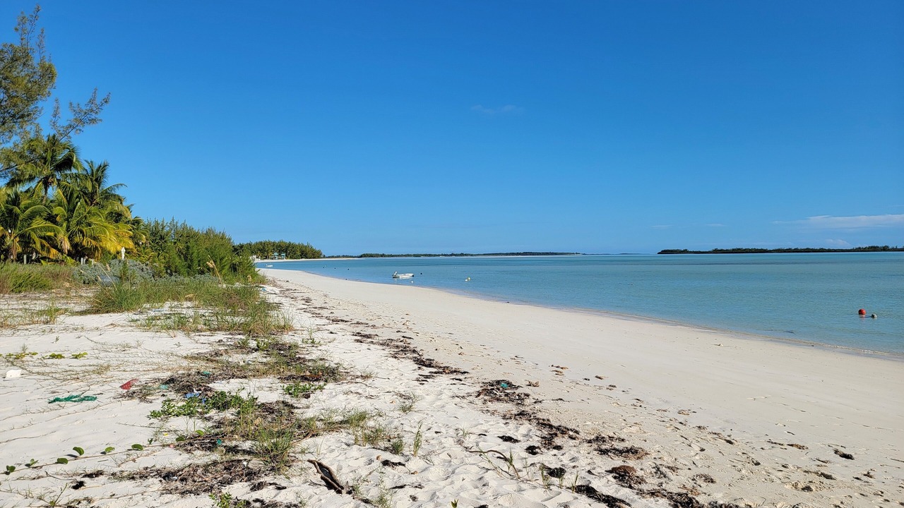 Photo of Others in Bahama Palm Shores