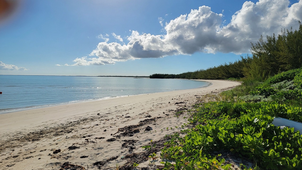 Photo of Others in Bahama Palm Shores