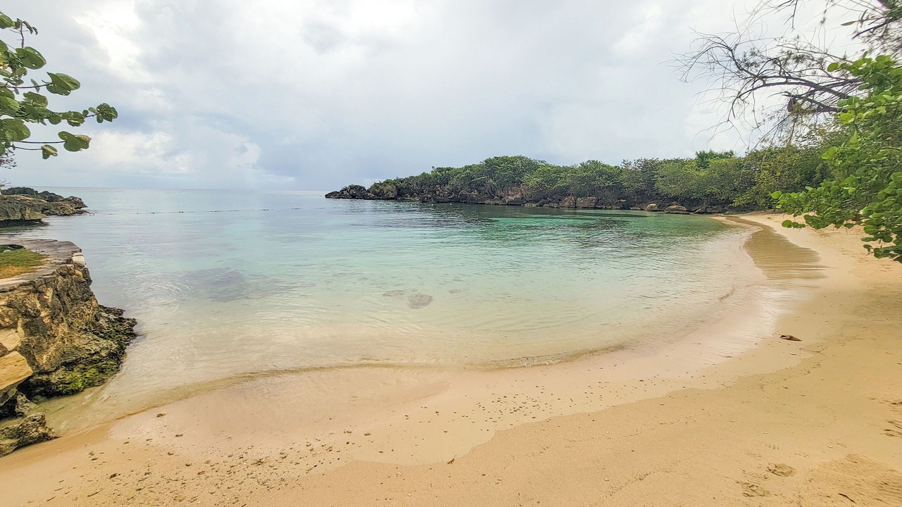 Photo of Others in Mammee Bay