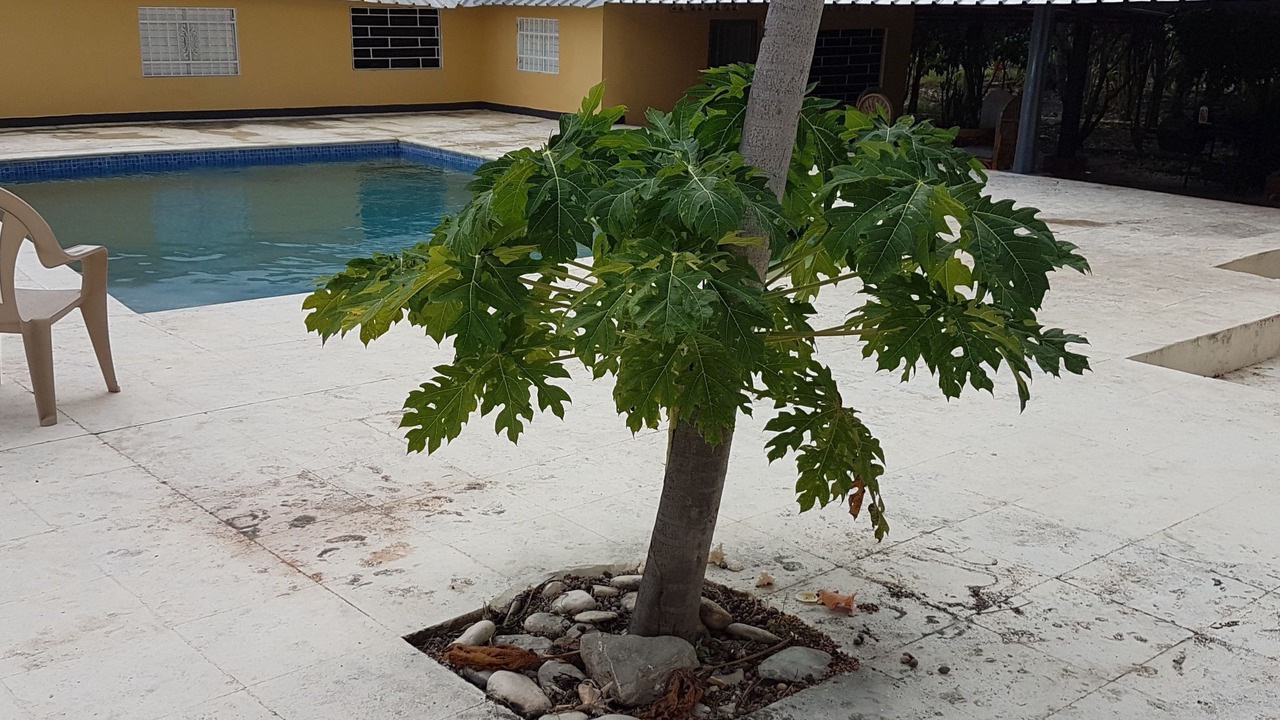 Photo of Outdoor in Bani