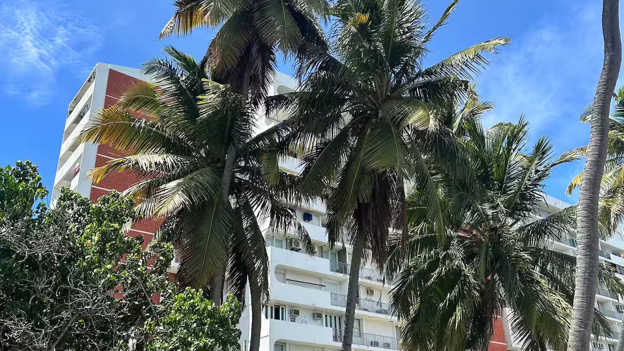 Photo of Outdoor in Fajardo