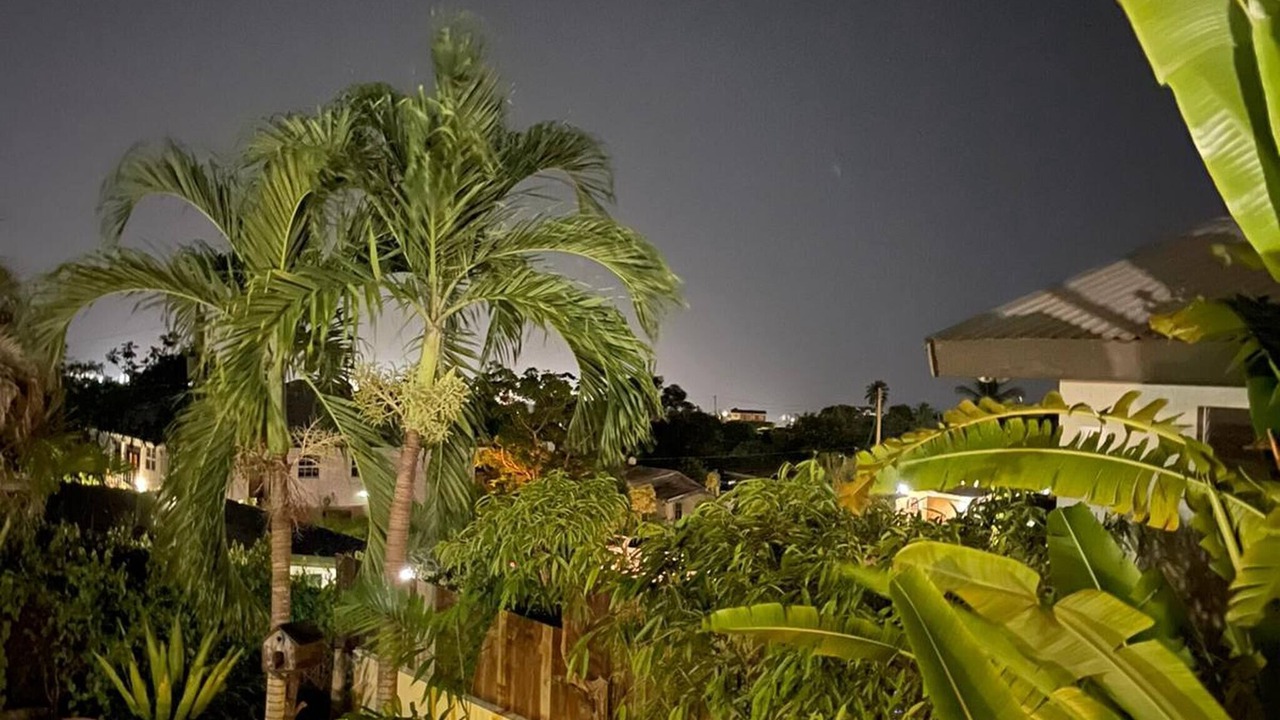 Photo of Outdoor in Whitehall