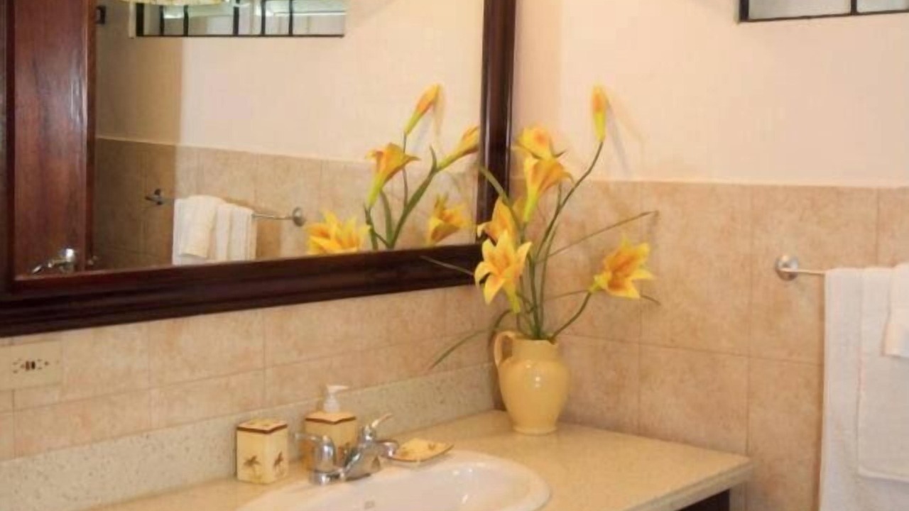 Photo of Bathroom in Mammee Bay
