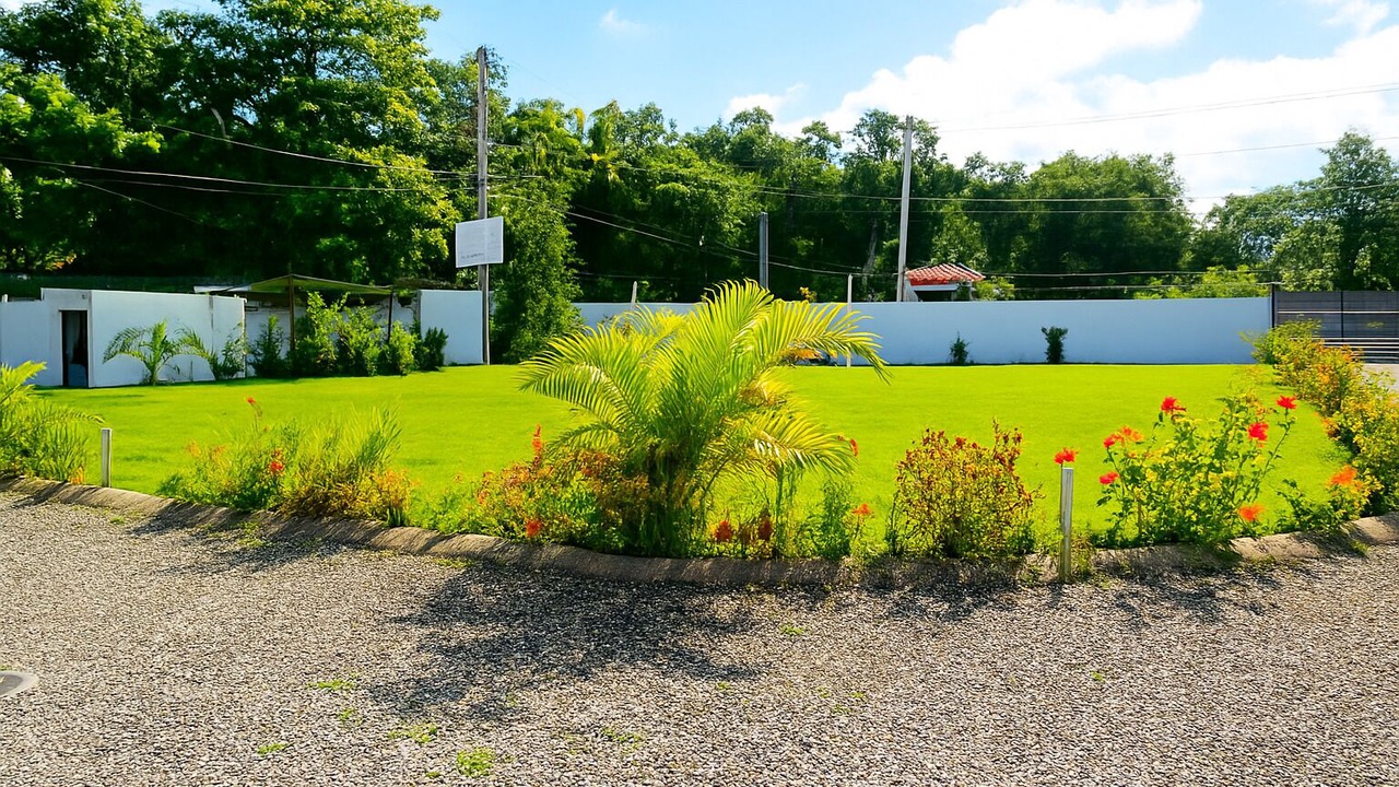 Photo of Outdoor in Sosua