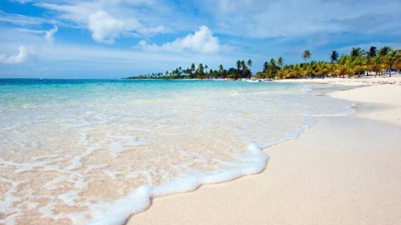 Photo of Others in St. Ann's Bay