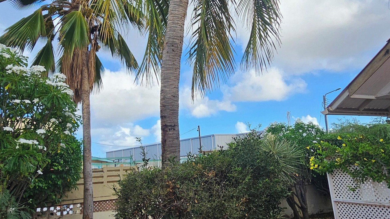 Photo of Outdoor in Oranjestad