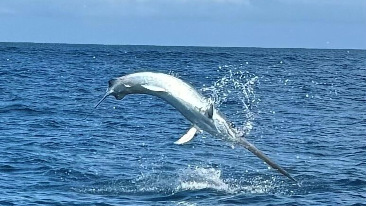 Photo of Others in San Pedro