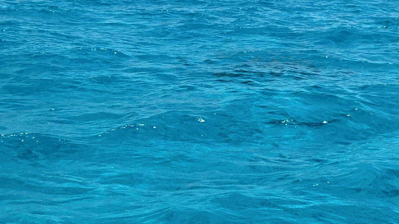 Photo of Others in San Pedro