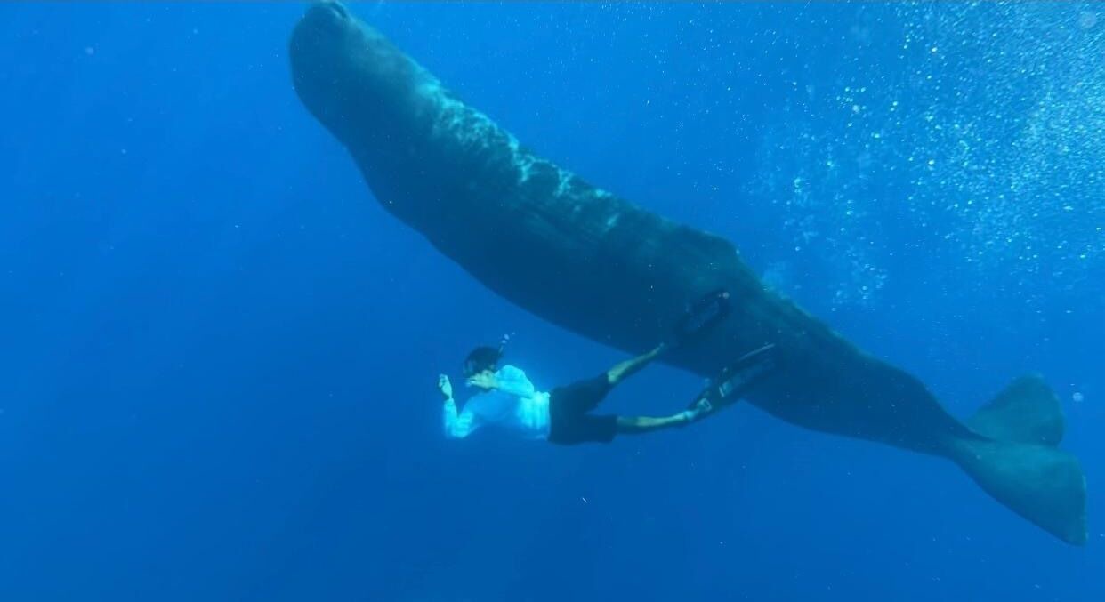 Photo of Others in San Pedro