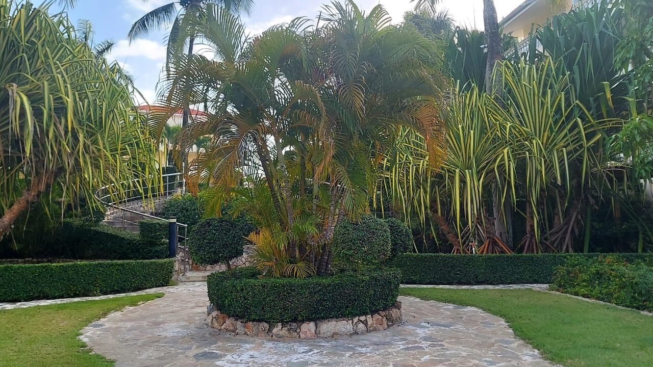 Photo of Outdoor in Boca Chica