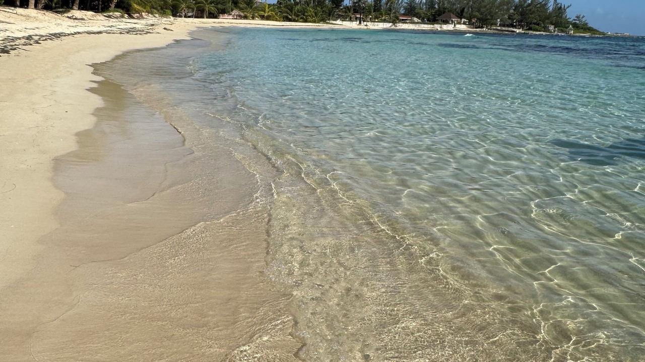 Photo of Others in Mammee Bay