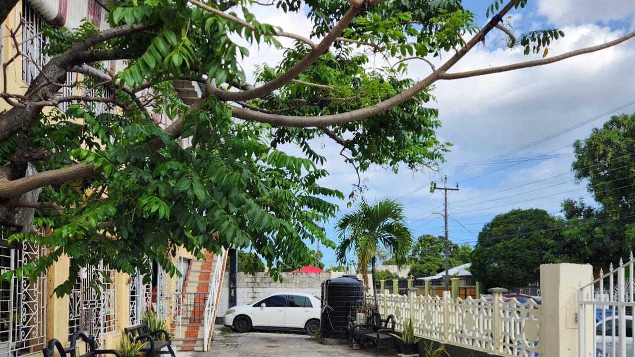 Photo of Outdoor in Kingston