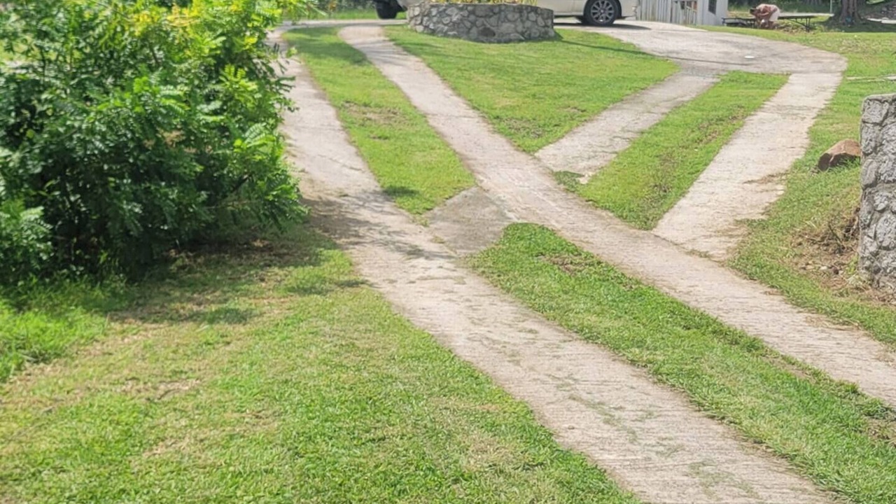 Photo of Outdoor in Choiseul