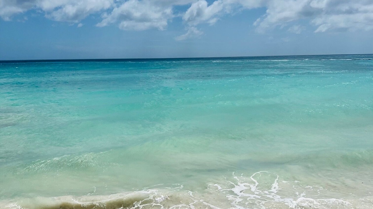 Photo of Others in Oranjestad-West