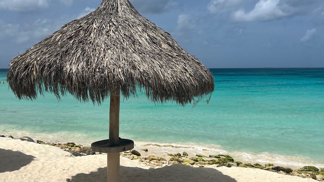 Photo of Others in Oranjestad-West