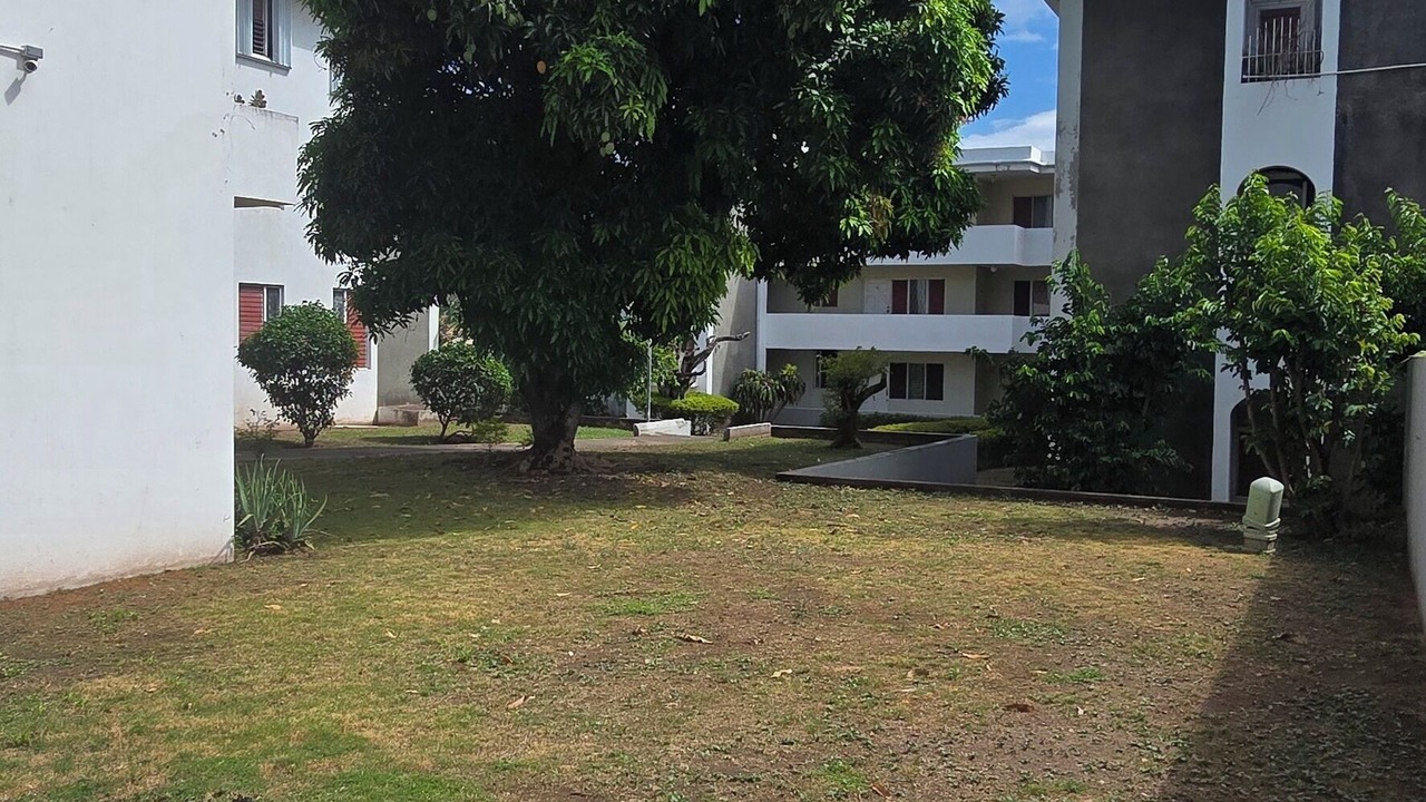 Photo of Outdoor in Camperdown