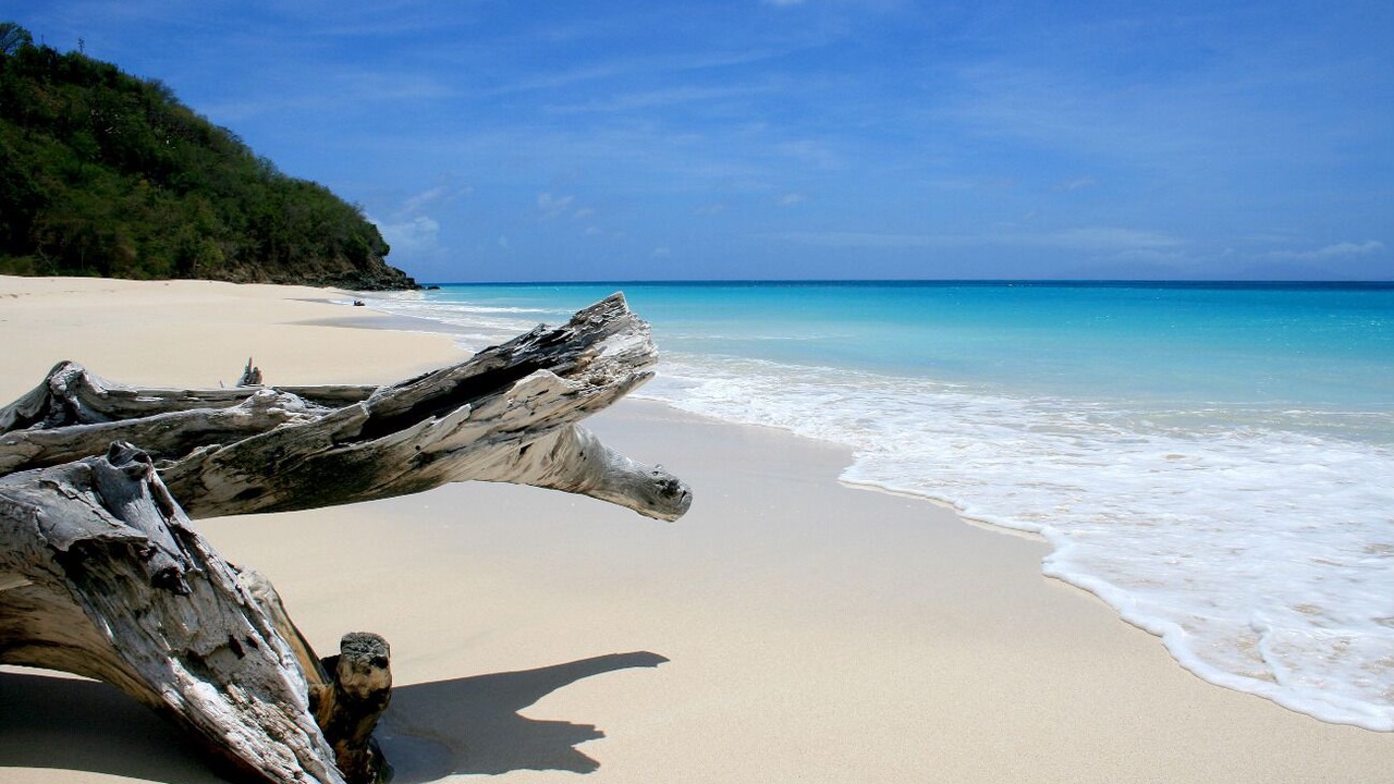 Photo of Others in Fryes Beach