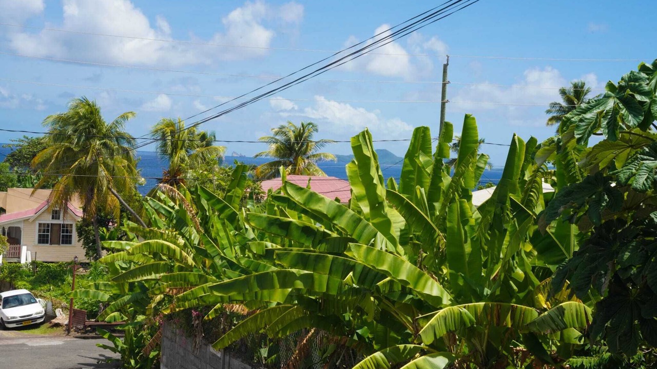 Photo of Outdoor in St. Patrick
