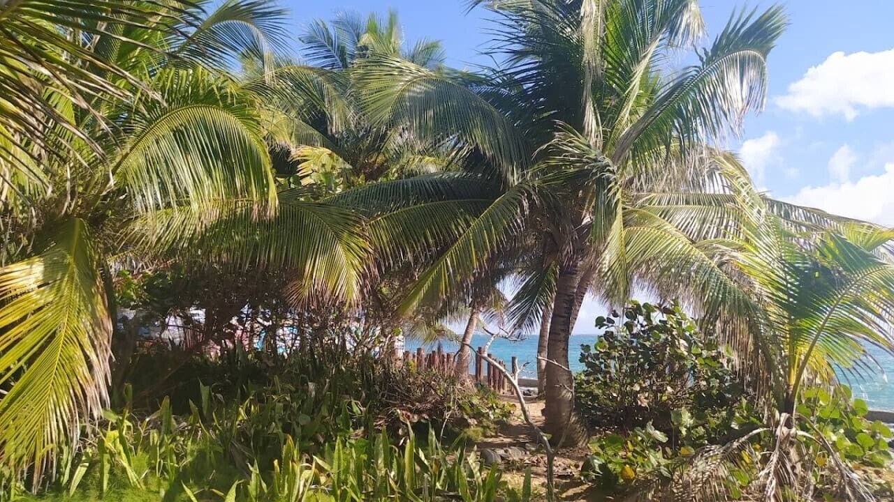 Photo of Others in Condado