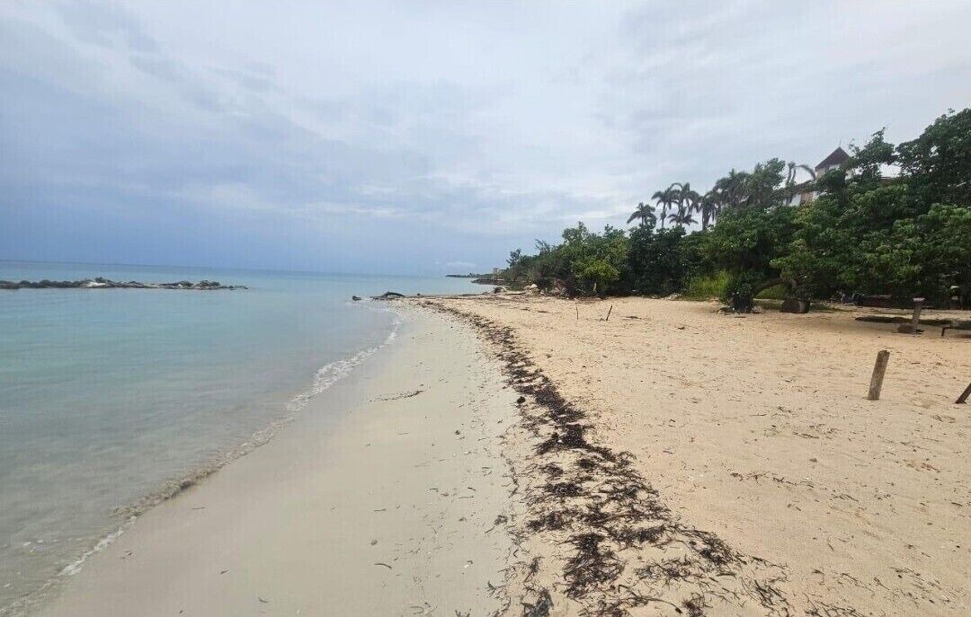 Photo of Others in Montego Bay