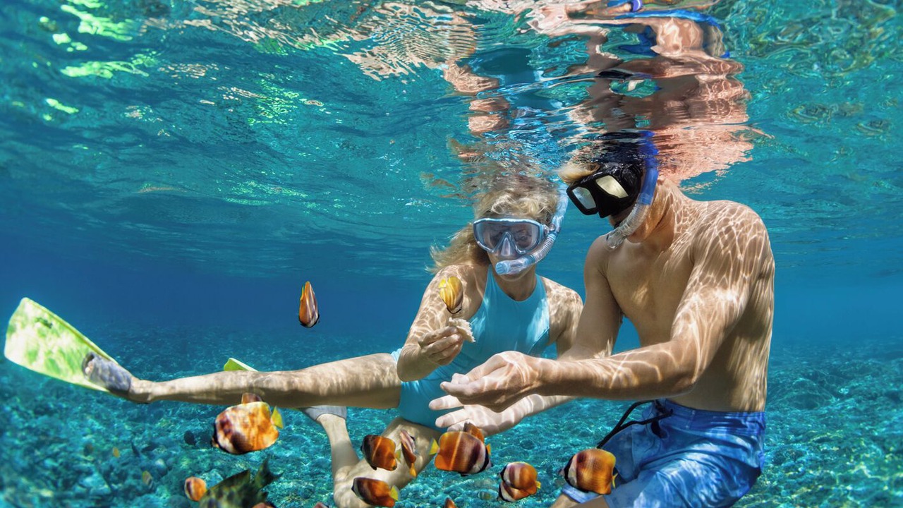 Photo of Others in St. George's