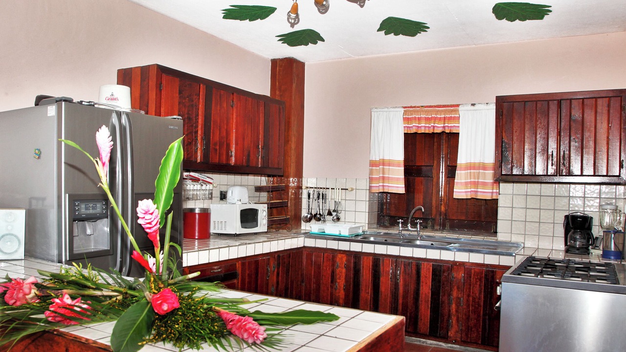 Photo of Kitchen in Soufriere