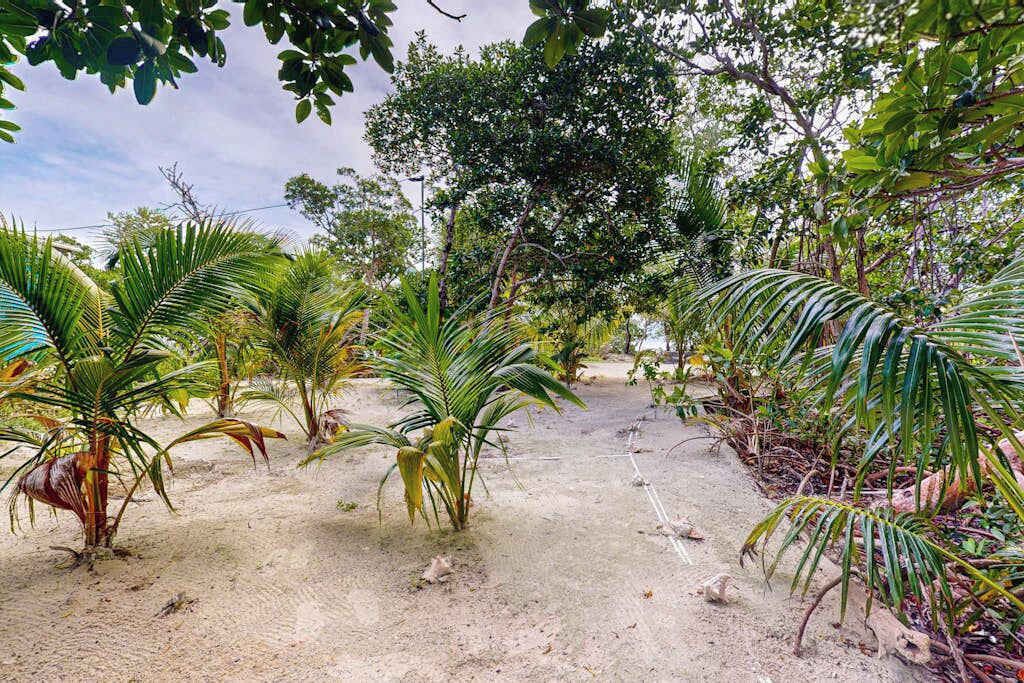 Photo of Outdoor in Sittee Point
