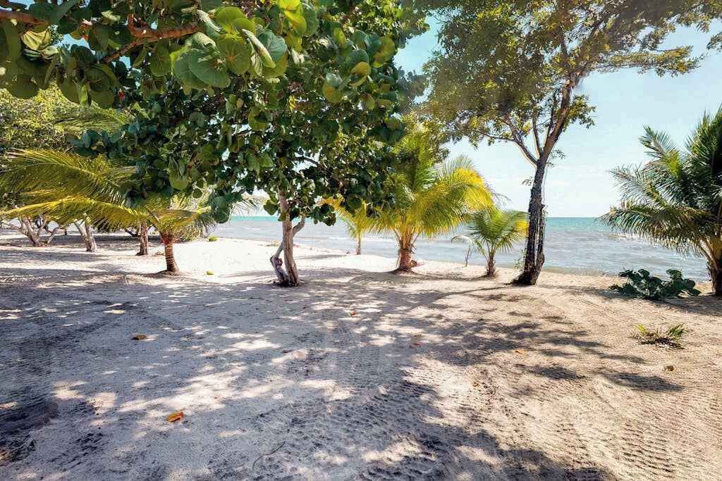 Photo of Others in Cocoplum