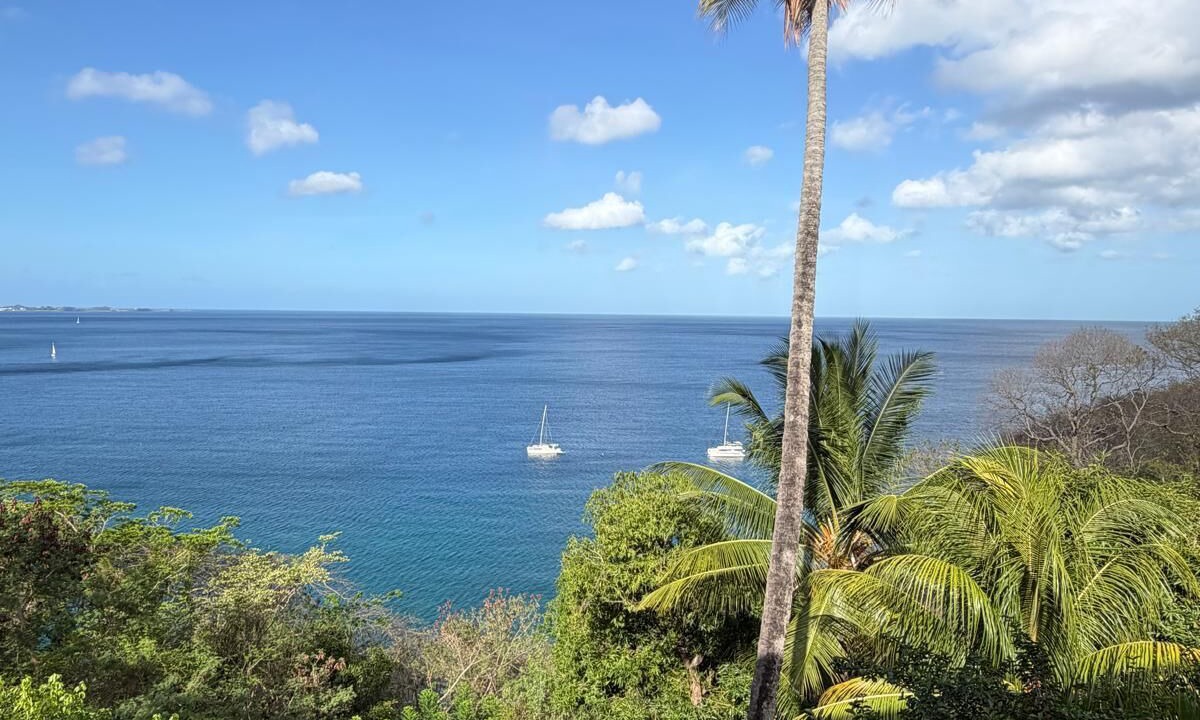 Photo of Others in St. George's