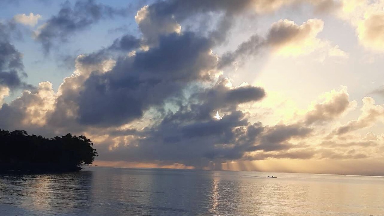 Photo of Others in Puerto Bahia