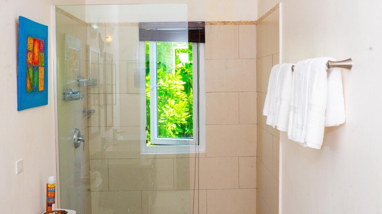 Photo of Bathroom in Mammee Bay