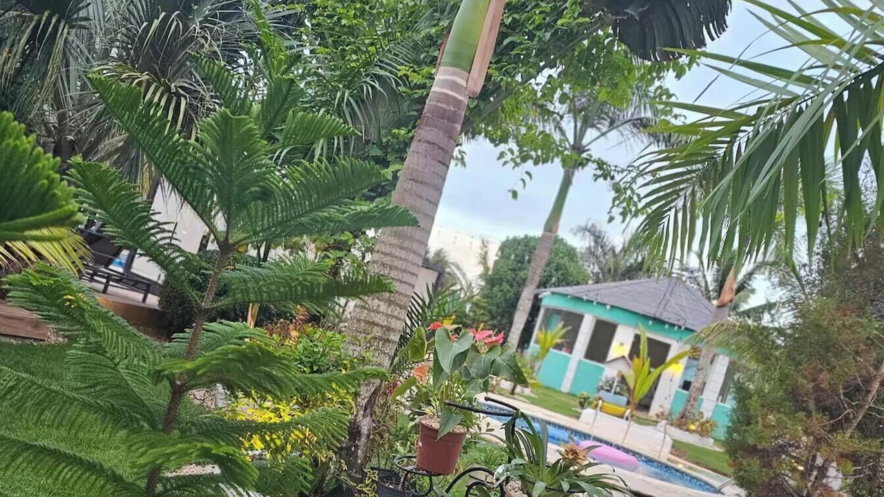 Photo of Outdoor in Higuey