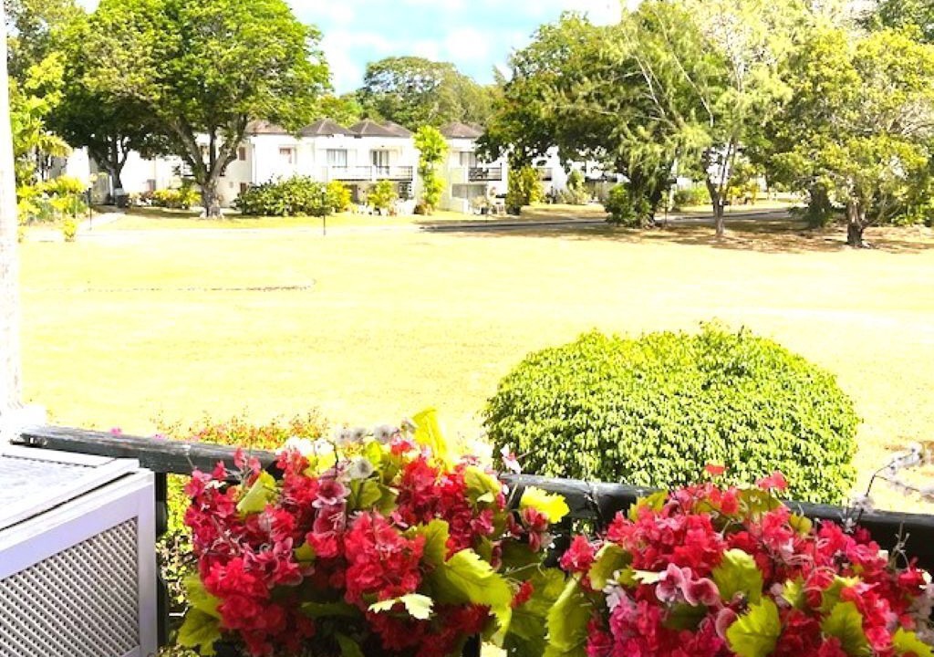 Photo of Outdoor in Marine Gardens