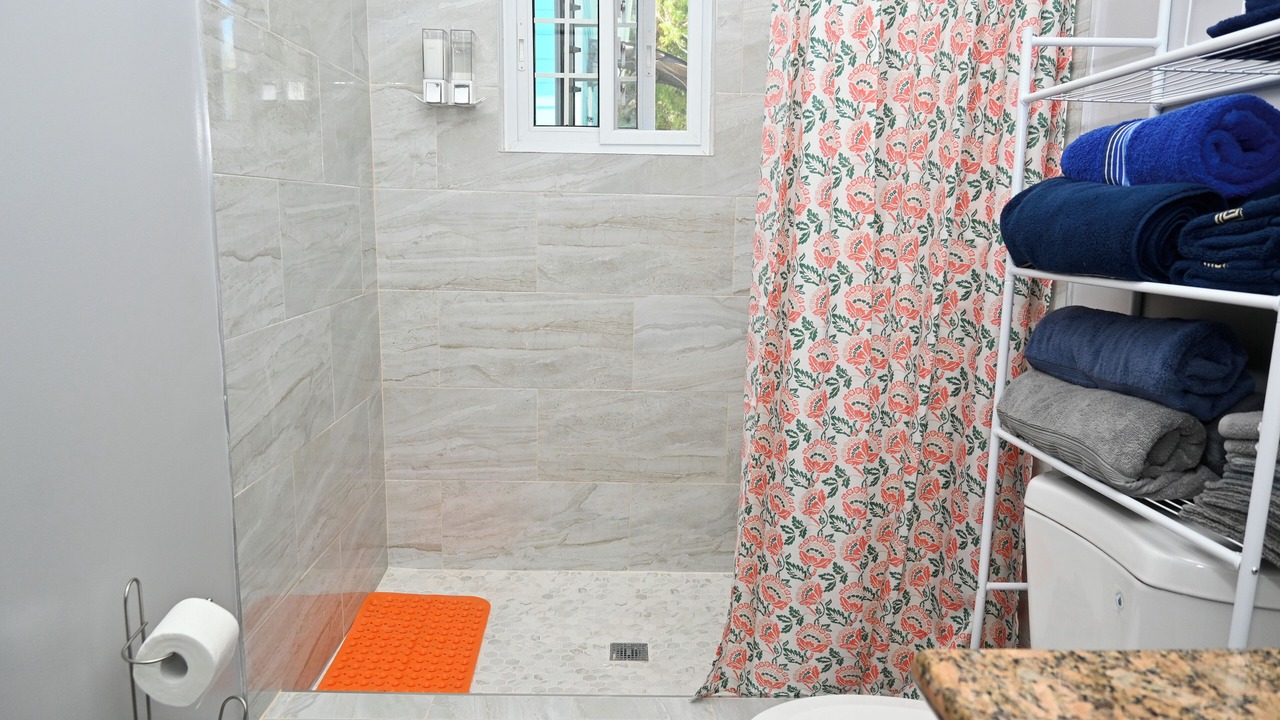 Photo of Bathroom in North Palmetto Point