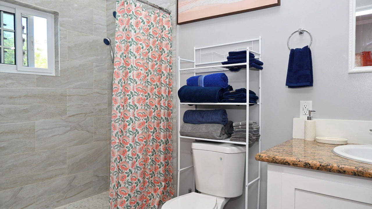 Photo of Bathroom in North Palmetto Point