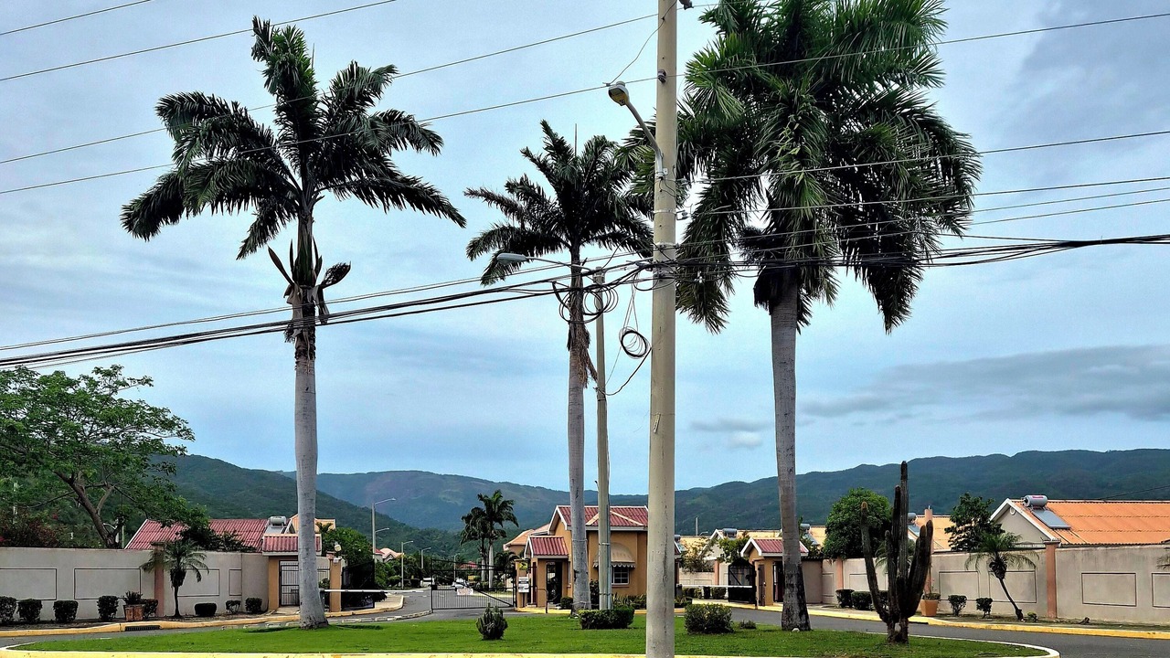 Photo of Outdoor in Kingston