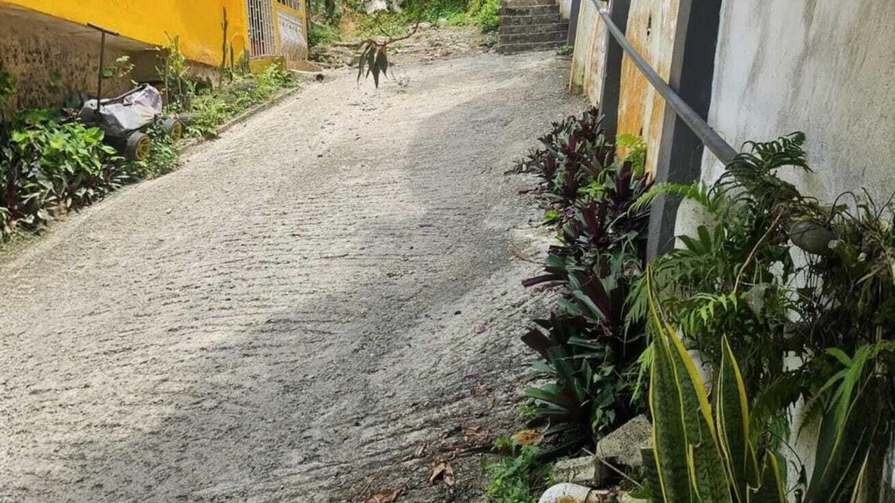 Photo of Outdoor in Port Antonio