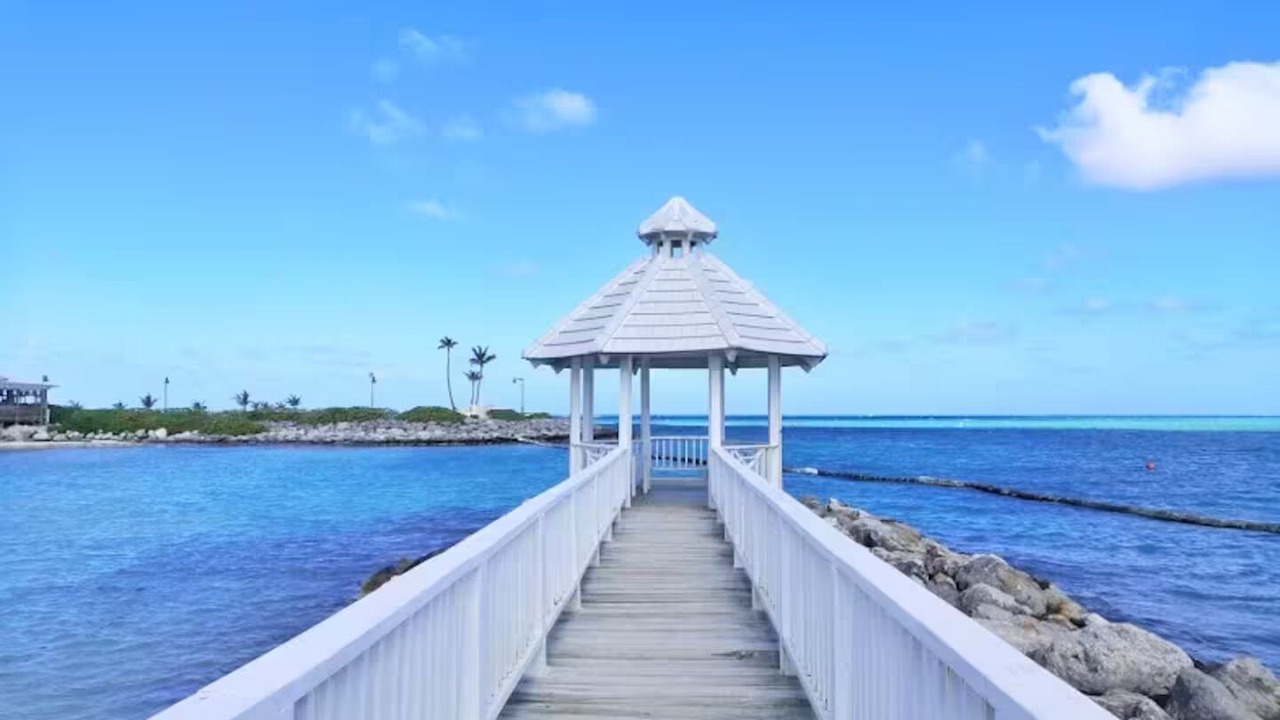 Photo of Others in Cap Cana Marina