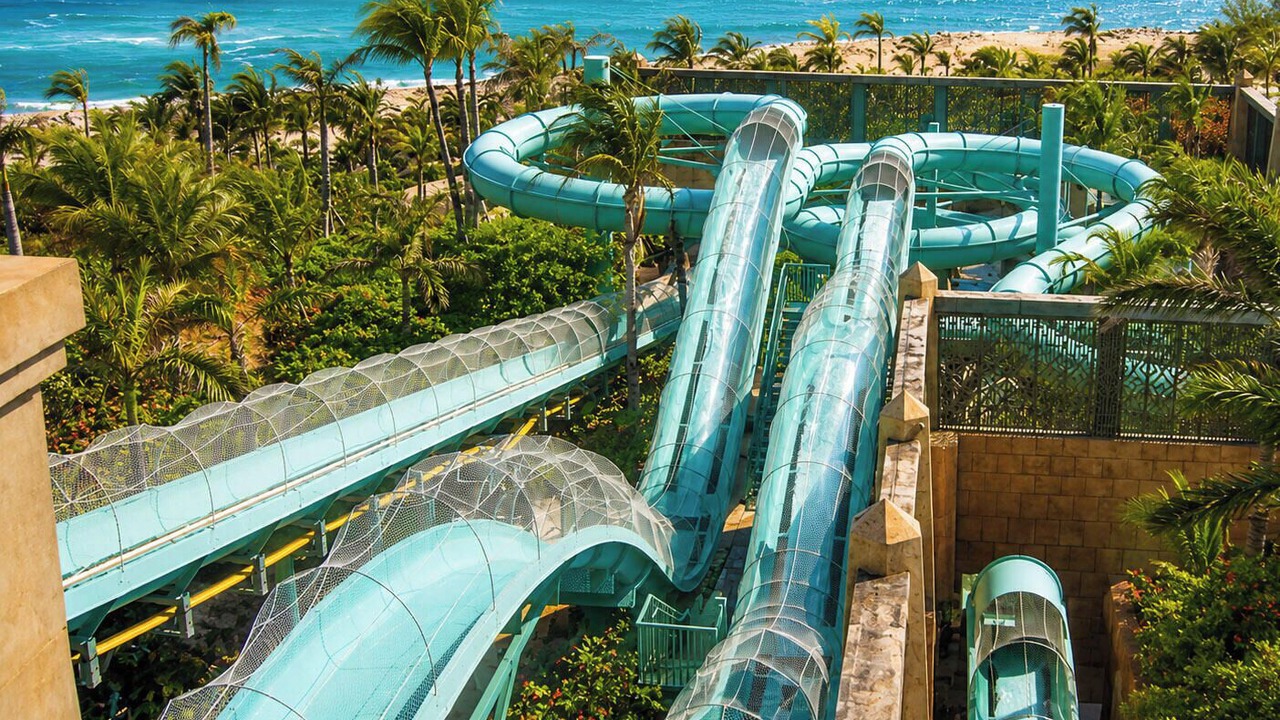 Photo of Others in Paradise Island