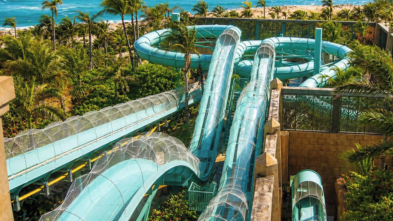 Photo of Others in Paradise Island