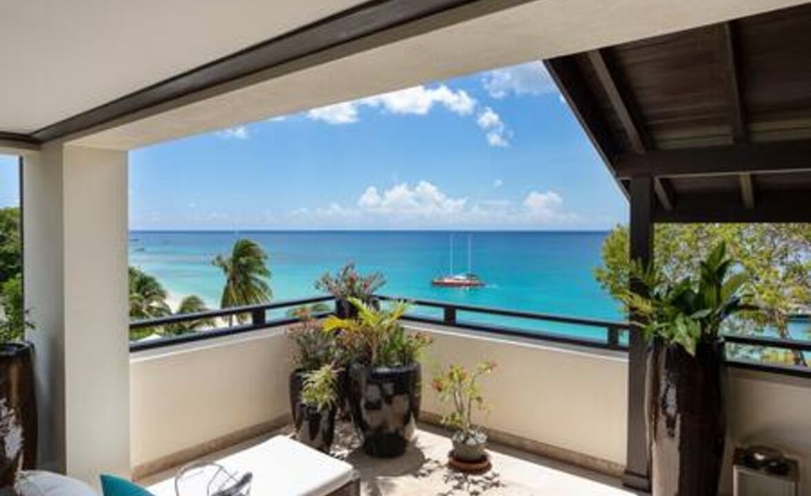 Photo of Others in Old Trees Bay