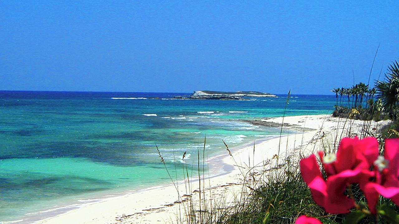 Photo of Others in North Palmetto Point
