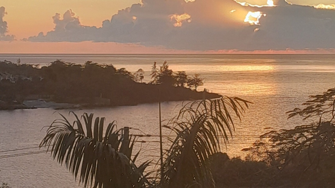 Photo of Others in Green Island