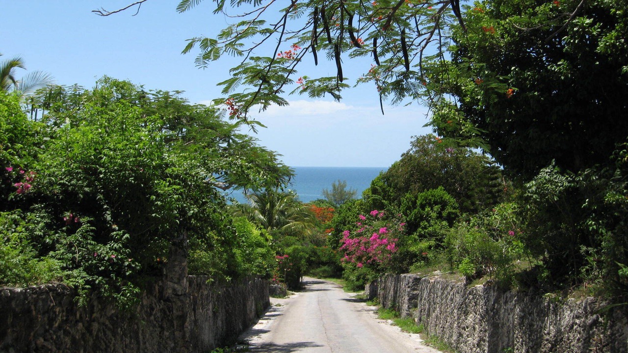 Photo of Others in North Palmetto Point