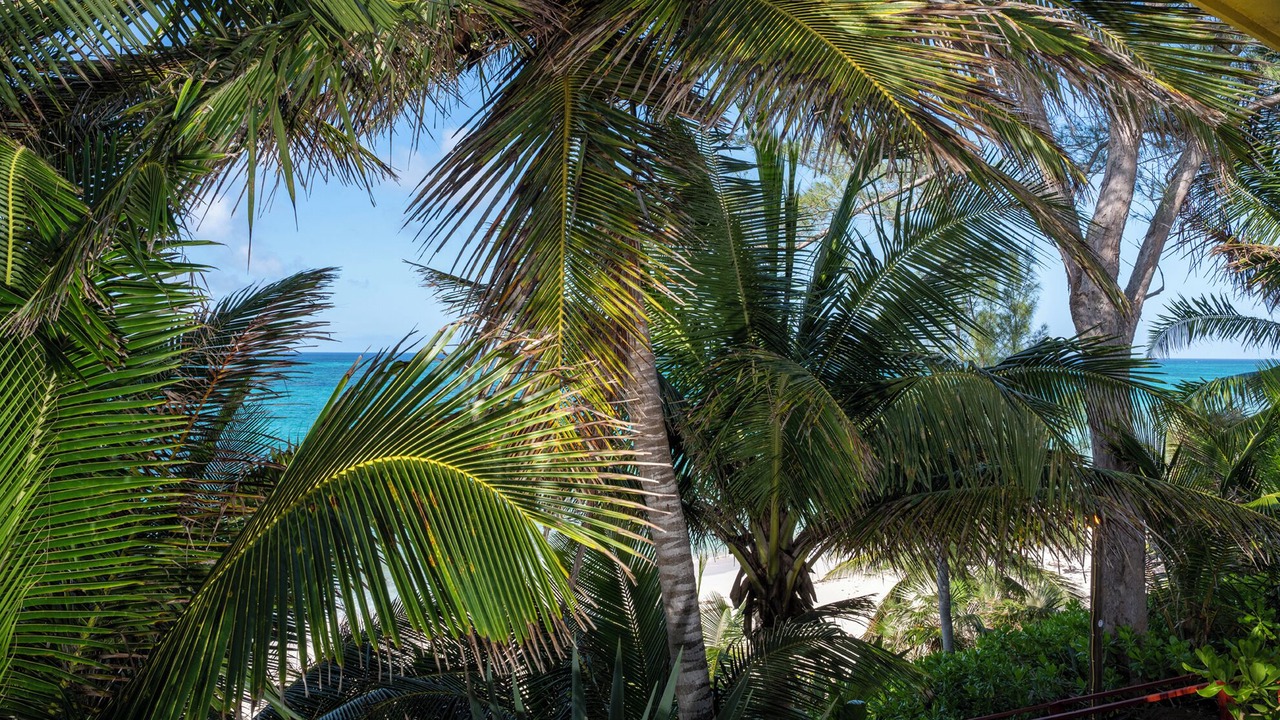 Photo of Others in North Palmetto Point