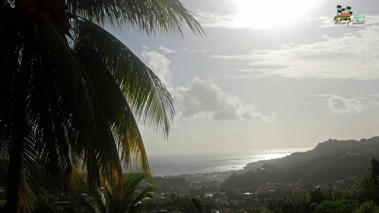 Photo of Others in Kingstown