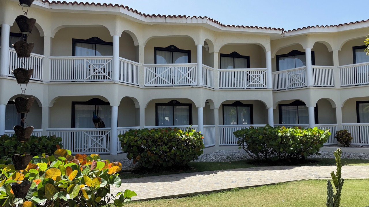 Photo of Outdoor in Cofresi